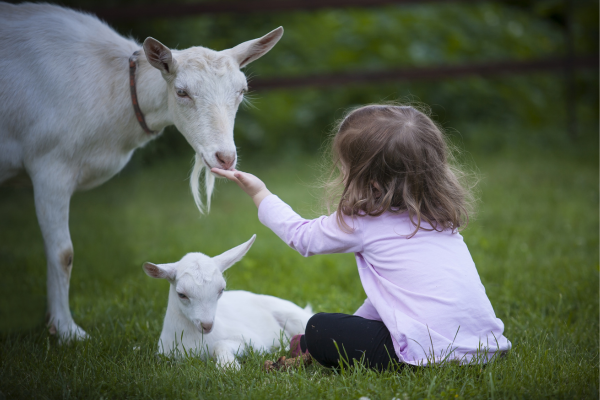 Como Os Animais de Estimação Podem Auxiliar no Tratamento de Apatia Infantil 